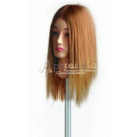 TESTASTUDIO CAPELLI  I111